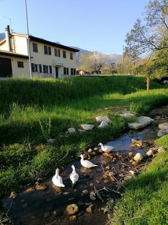 Agriturismo Da Andreina Borso del Grappa Extérieur photo