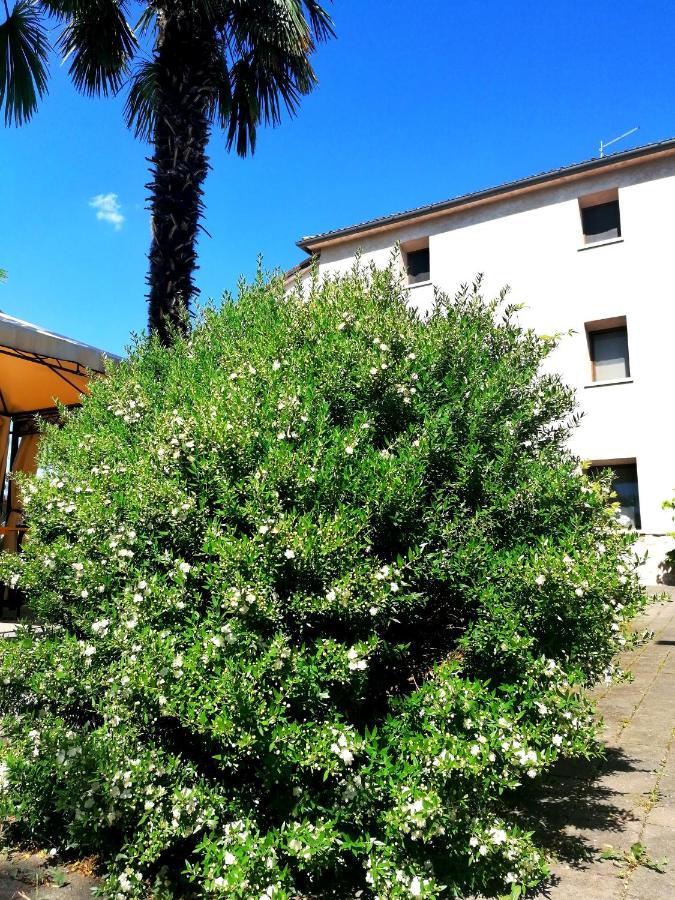 Agriturismo Da Andreina Borso del Grappa Extérieur photo